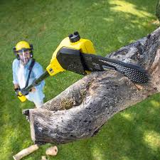 Best Artificial Turf Installation  in Abingdon, VA