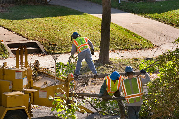Best Lawn Watering Services  in Abingdon, VA